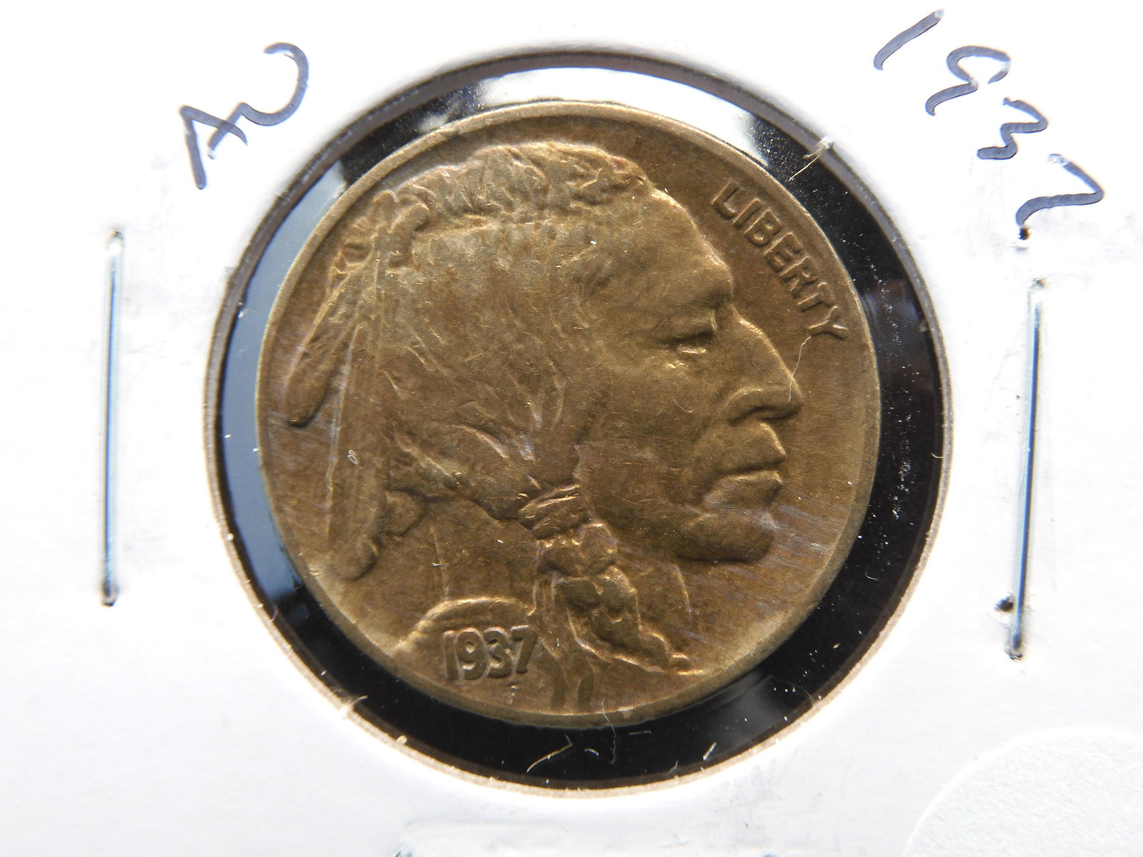 1937 Buffalo Nickel - Full Horn - Great Detail! (1 of 3)