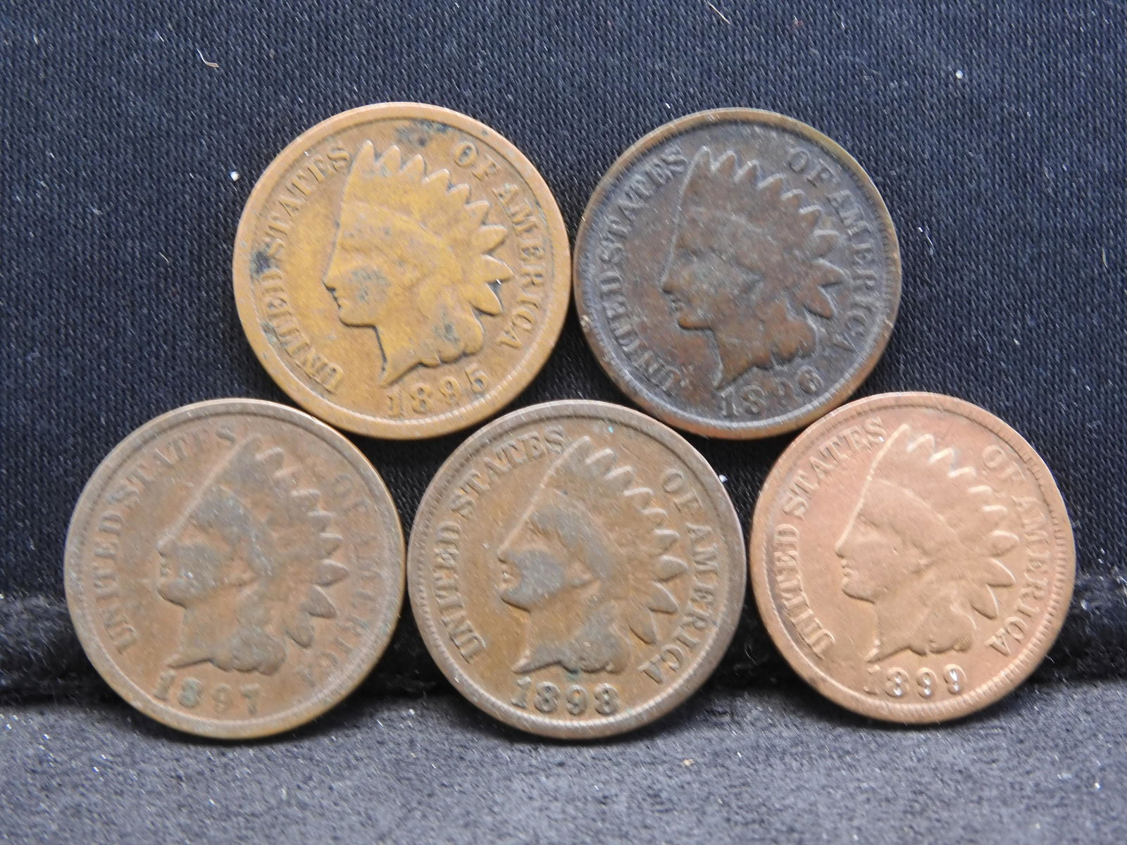1895/1896/1897/1898/1899 - Indian Cents - 5 Consecutive Dates (1 of 2)
