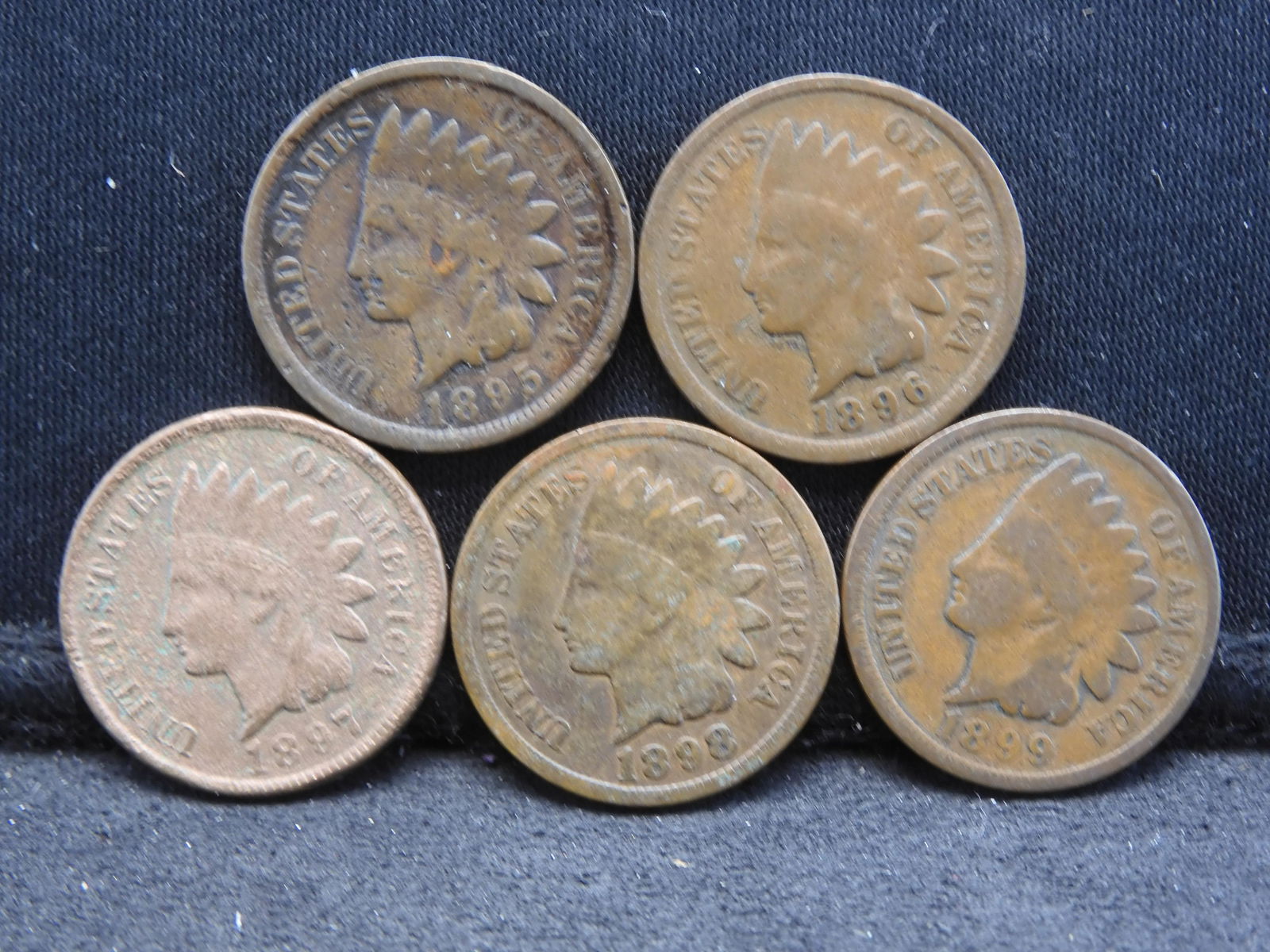 1895/1896/1897/1898/1899 - Indian Cents - 5 Consecutive Dates (1 of 2)