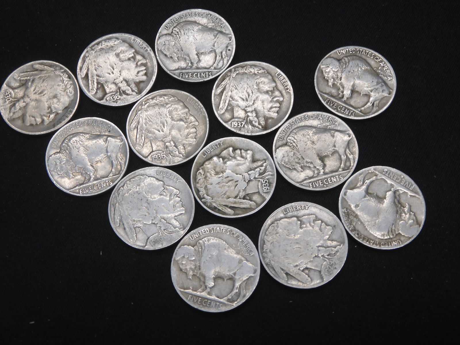 13 Different Buffalo Nickels with Full Dates (1 of 4)