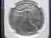 item-131306677=2