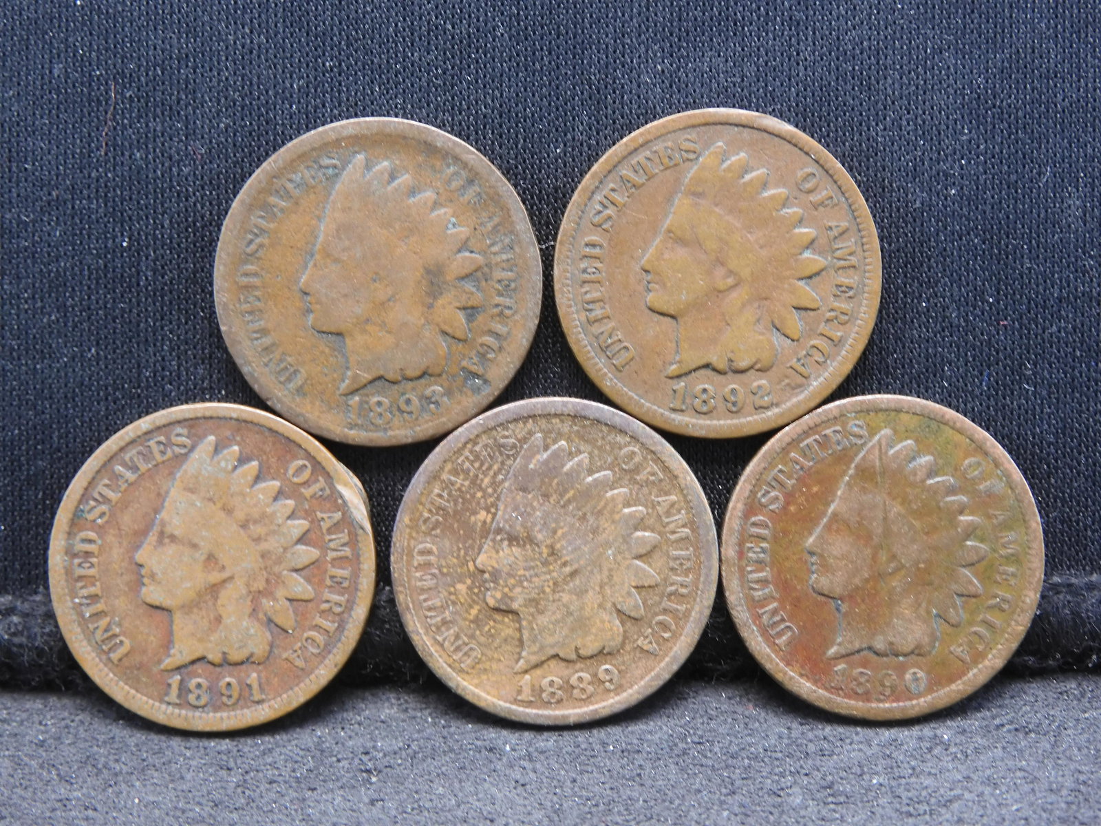 1889/1890/1891/1892/1893 Indian Cent - 5 Consecutive Dates (1 of 2)