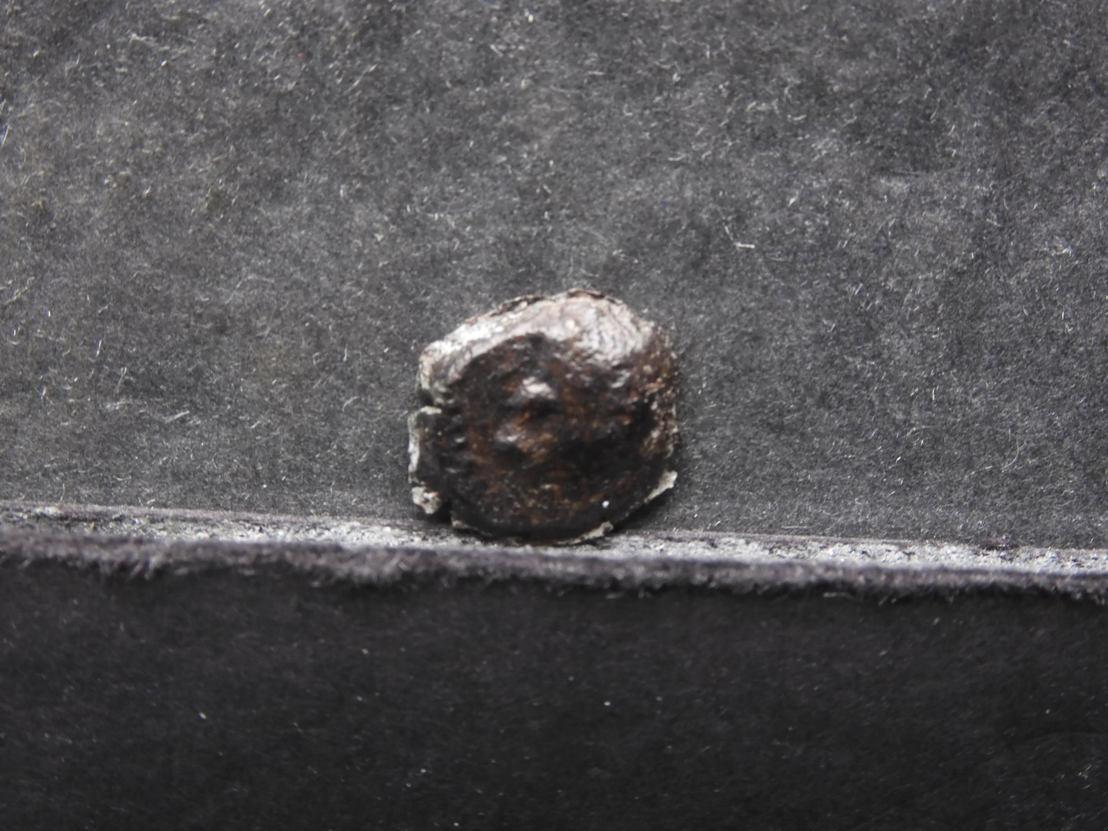 300 BC - Ptolemaic Kyrene, Goddess Ptolemy, ancient Greek coin, over 2,500 years old!!: 300 BC - Ptolemaic Kyrene, Goddess Ptolemy, ancient Greek coin, over 2,500 years old!!