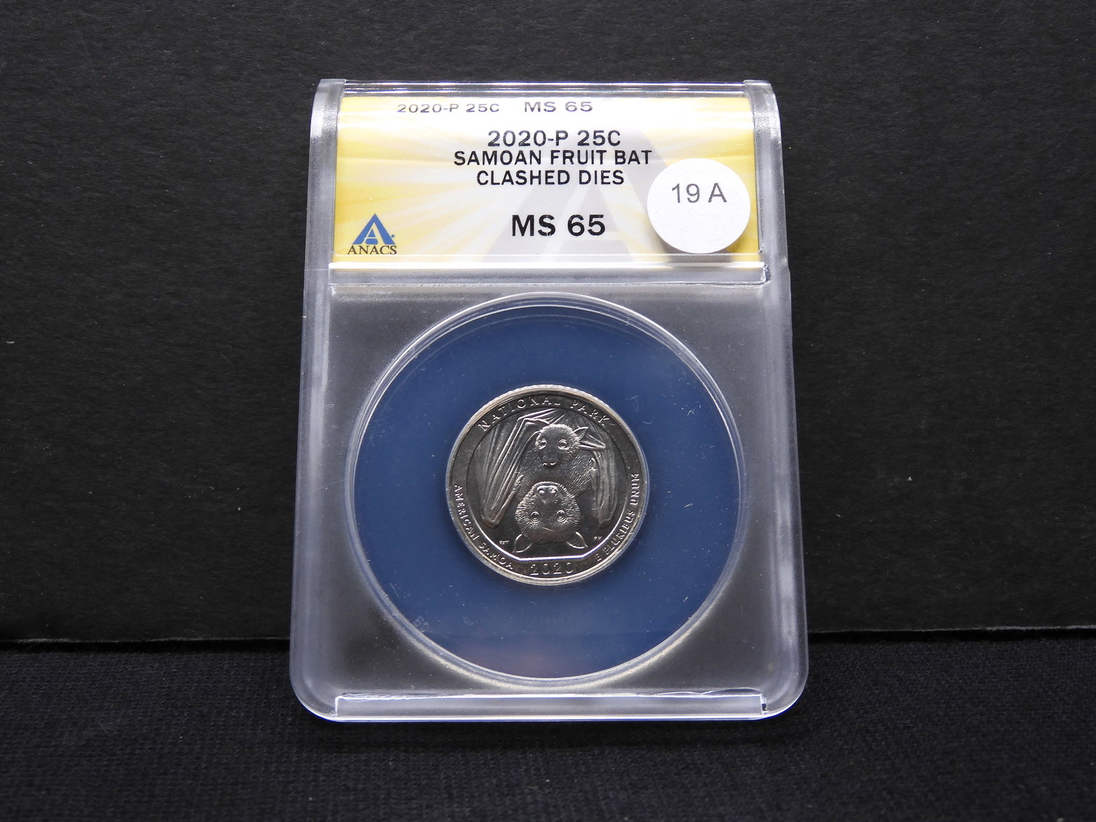 ERROR Alert!  2020 P Samoan Fruit Bat quarter slabbed by ANACS (Respected Grader) as MS 65, CLASHED (1 of 4)