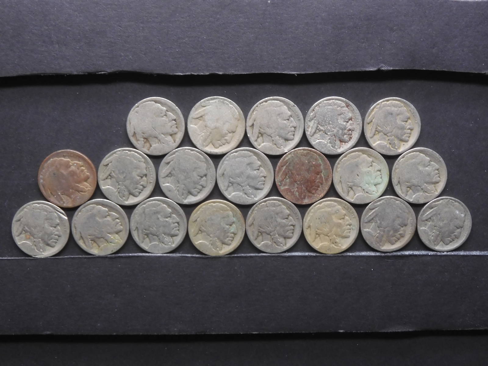 20 Dateless Buffalo Nickels Auction