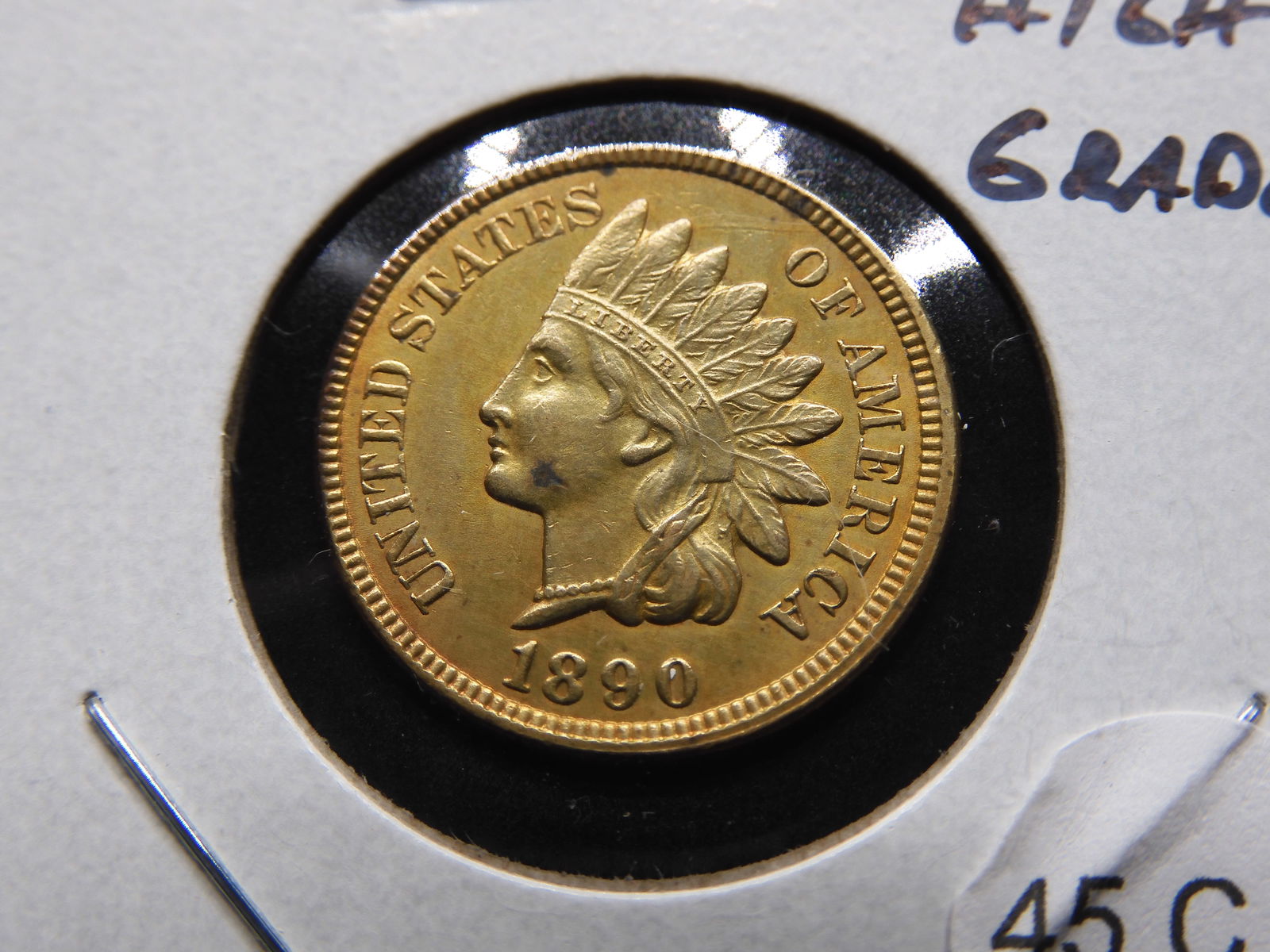 1890 Indian 1c. High Grade. (1 of 3)