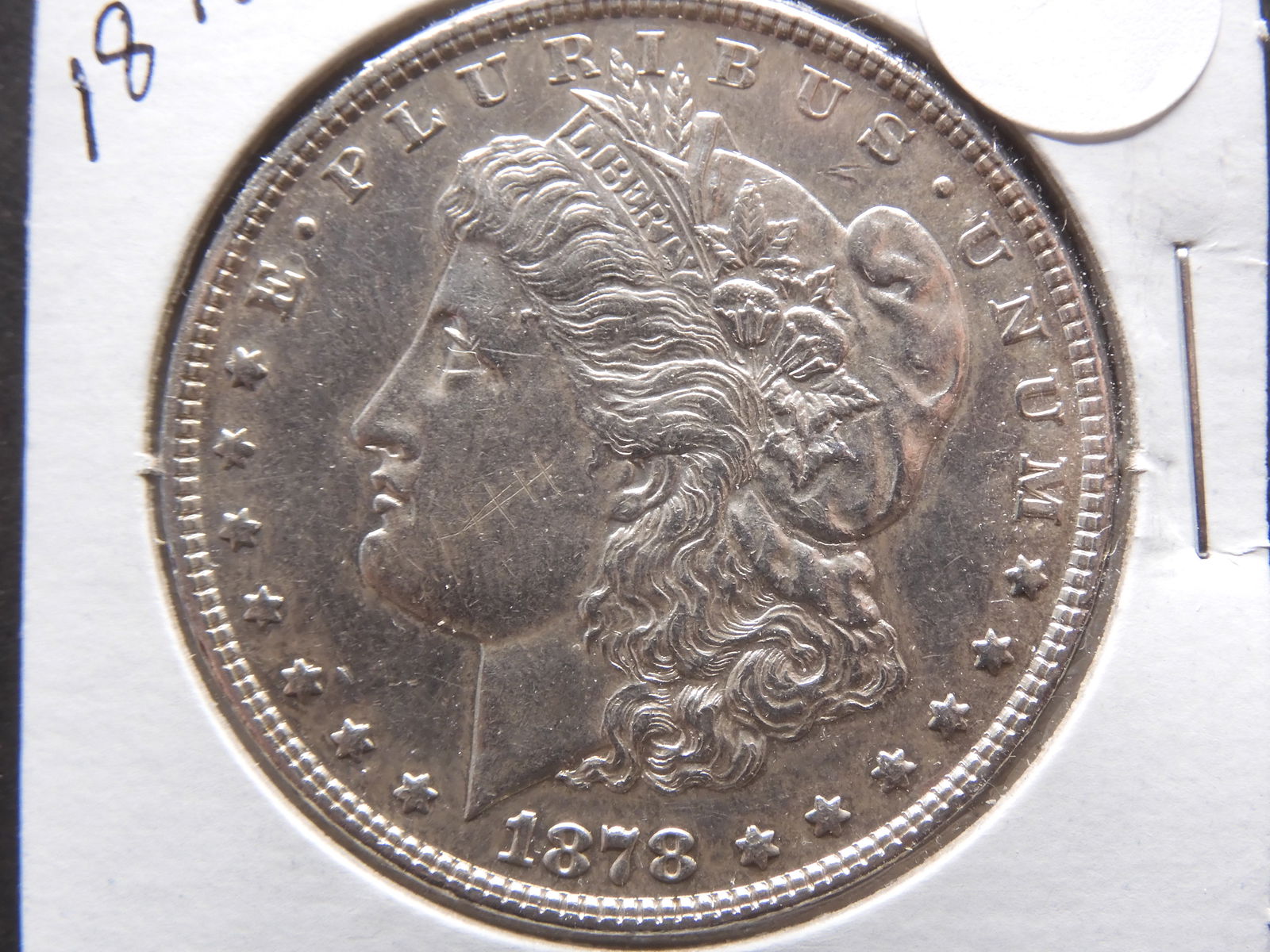 1878 7 TF Morgan Dollar (1 of 3)