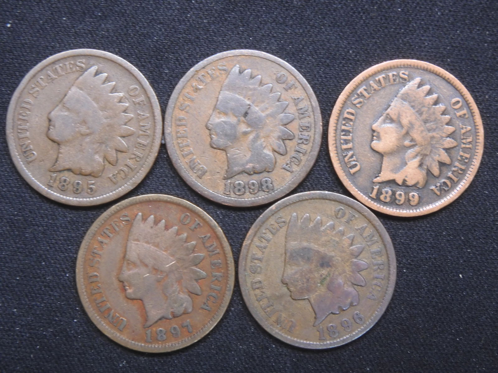 1895-1899 Indian Cents - 5 Consecutive Dates (1 of 2)