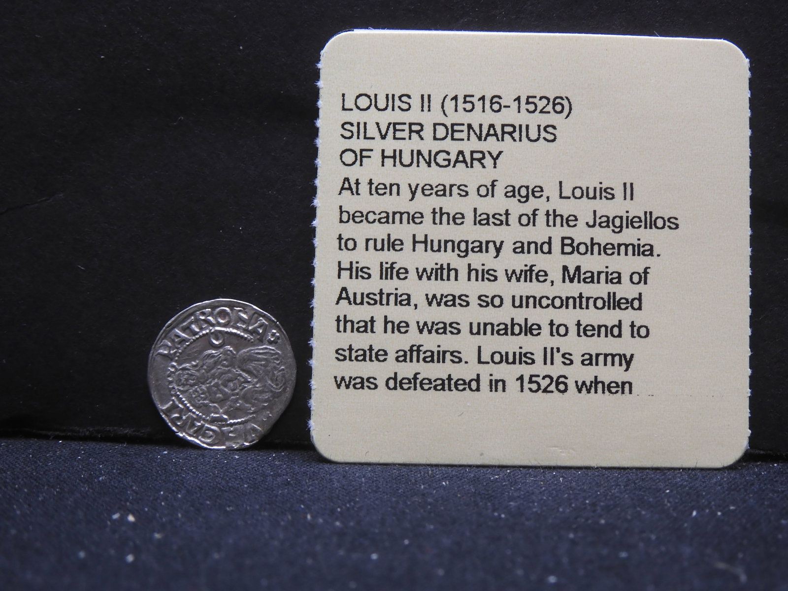 Louis II (1516-1526) Silver Denarius of Hungary: Louis II (1516-1526) Silver Denarius of Hungary