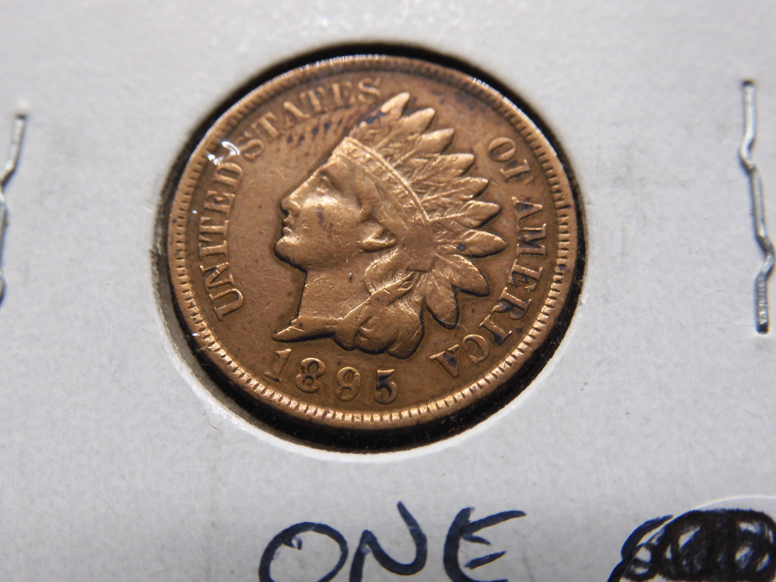 1895 Indian Head Penny - Full Liberty!: 1895 Indian Head Penny - Full Liberty!