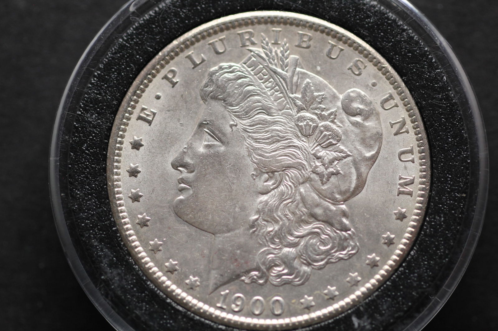 1900 Morgan Dollar (1 of 2)