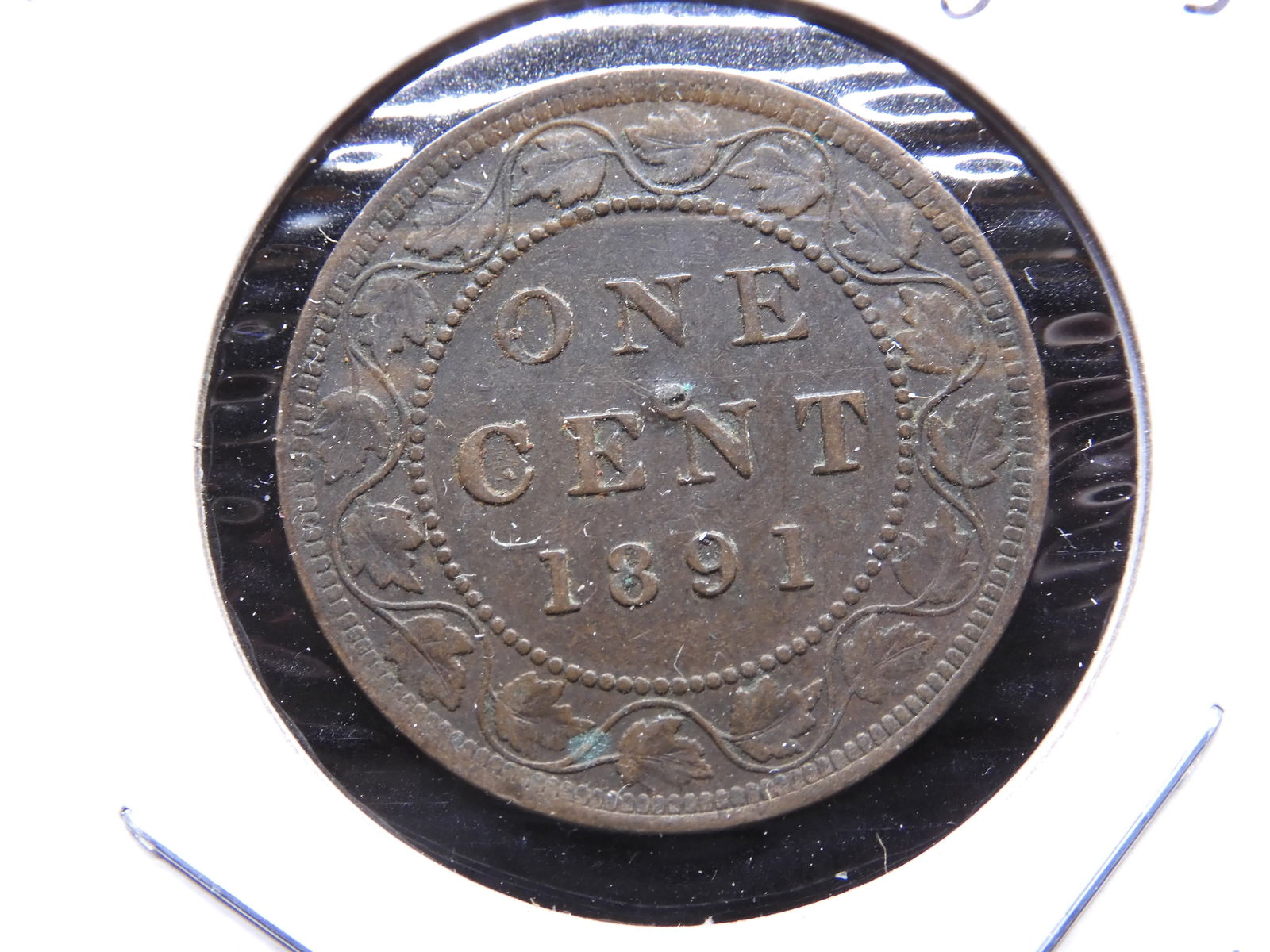 1891 Lg Date Lg Leaves Canada cent. BIG variety year! (1 of 3)