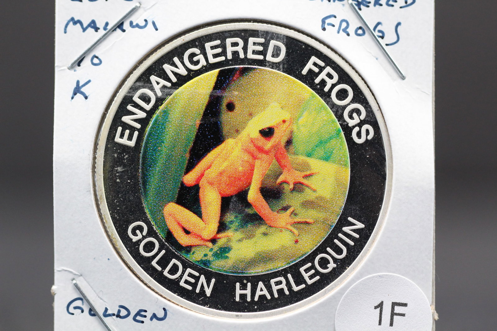 2010 Malawi 10 Kwacha. Endangered Frogs. Golden Harlequin.: 2010 Malawi 10 Kwacha. Endangered Frogs. Golden Harlequin.