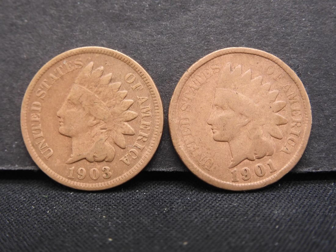 1901 & 1903 Indian pennies (1 of 2)