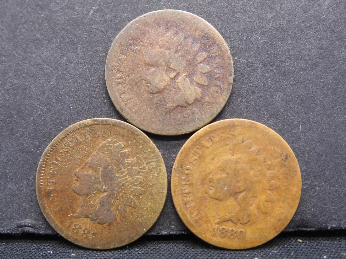 1880, 1881, 1882 Indian Head Cents (1 of 2)