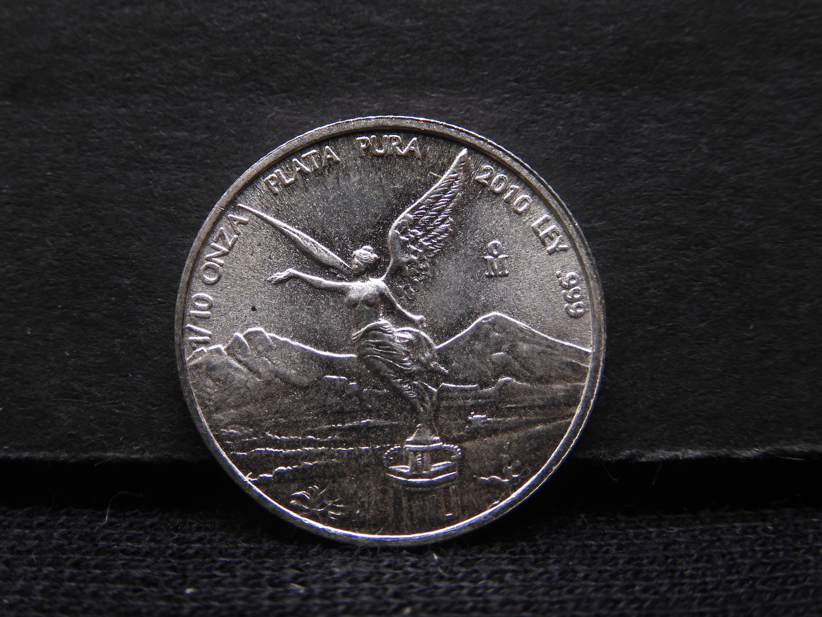 SILVER - 1/10 Tenth Oz. .999 - 2010 Plata Pura: SILVER - 1/10 Tenth Oz. .999 - 2010 Plata Pura