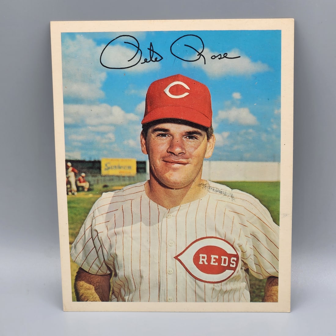 1967 Dexter Press Pete Rose: 1967 Dexter Press Pete Rose