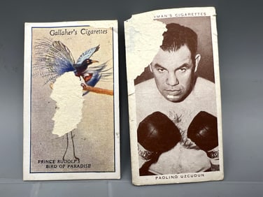 1928 Gallaher's Zoo Tropical Birds Prince Rudolf's Bird of Paradise #23 & 1938 Churchman Boxing