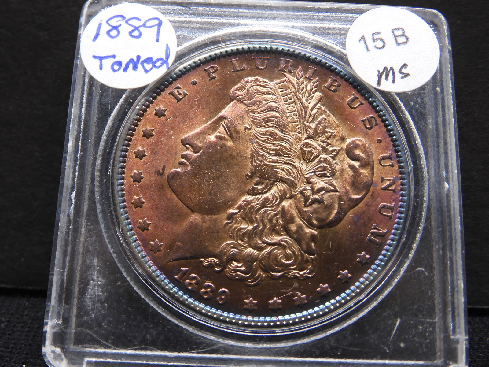 1889 MS Toned Morgan Silver Dollar (1 of 3)