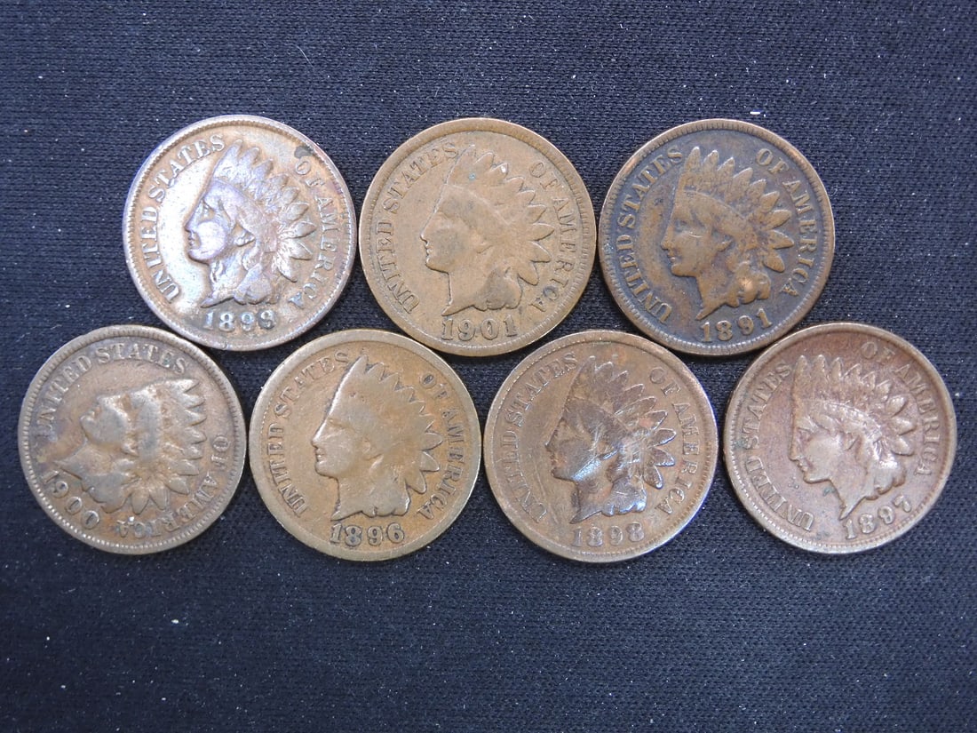 1896, 1897, 1898, 1899, 1900, 1901, 1891 Indian Head Cents (1 of 2)