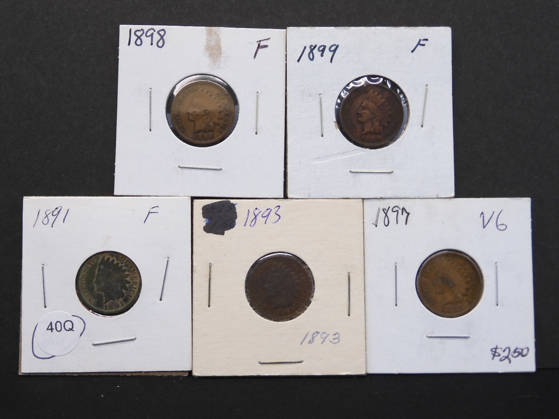 1891, 1893, 1897, 1898, 1899 Indian Head Cents (1 of 7)