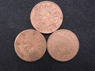 3 Indian Head Pennies (1902, 1906 & 1902), Over 1 Century Old!