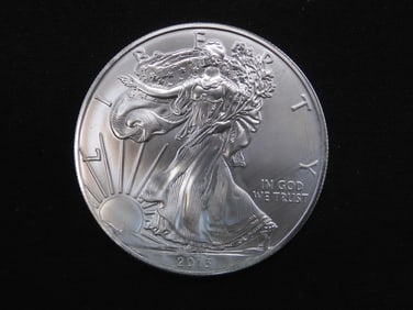 2013 Proof American Silver Eagle