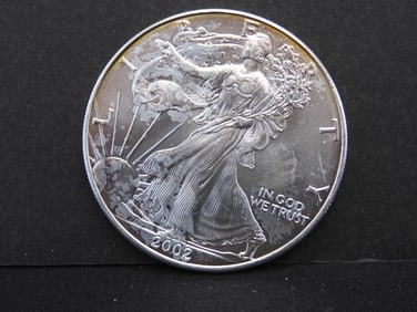 2002 American Silver Eagle