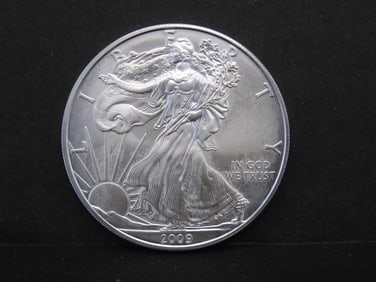 2009 American Silver Eagle