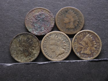 Lot of 5 Better Dates Indian Head Cents