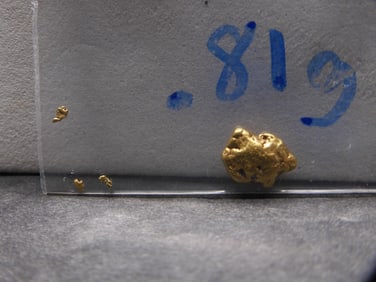 Bag of 0.81 Grams of GOLD Nuggets!!