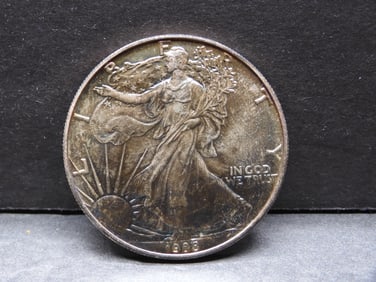 ** NEAT RAINBOW TONED** 1988 American Silver Eagle