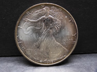 ** COOL RAINBOW TONED** 1995 American Silver Eagle