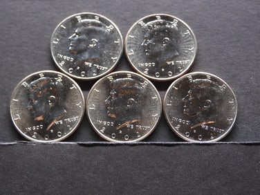 5 2002-D Clad Kennedy Half Dollars Uncirculated From Canvas Mint Bag