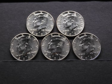 5 2002-P Clad Kennedy Half Dollars Uncirculated From Canvas Mint Bag