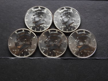 5 2003-D Clad Kennedy Half Dollars Uncirculated From Canvas Mint Bag