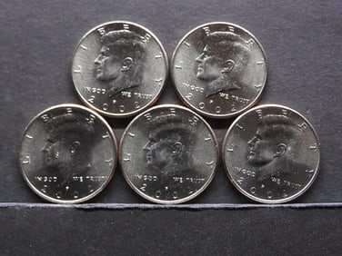 5 2002-P Clad Kennedy Half Dollars Uncirculated From Canvas Mint Bag