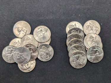 20- 2005-P American Bison Nickels Uncirculated From Canvas Mint Bag