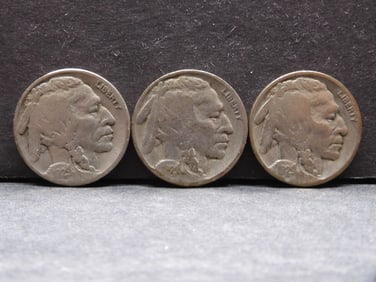 1929 P,D,S Buffalo Nickels - Complete Year Set