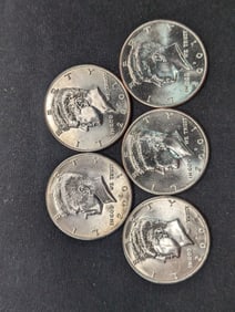 5 2001-D Clad Kennedy Half Dollars Uncirculated From Canvas Mint Bag