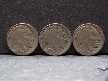 1928 P,D,S Buffalo Nickels - Complete Year Set