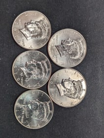 5 2010-D Clad Kennedy Half Dollars Uncirculated From Canvas Mint Bag