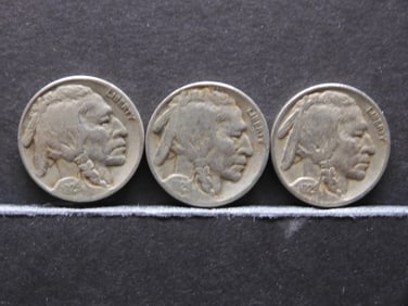 1929 P,D,S Buffalo Nickels - Complete Year Set