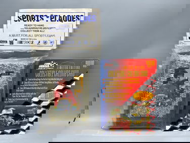 Lot of Assorted Jeff Gordon Racing Collectible Memorabilia Items