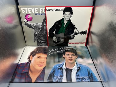 Lot of (4) Assorted Steve Forbert Vinyl Albums - Varying Conditions