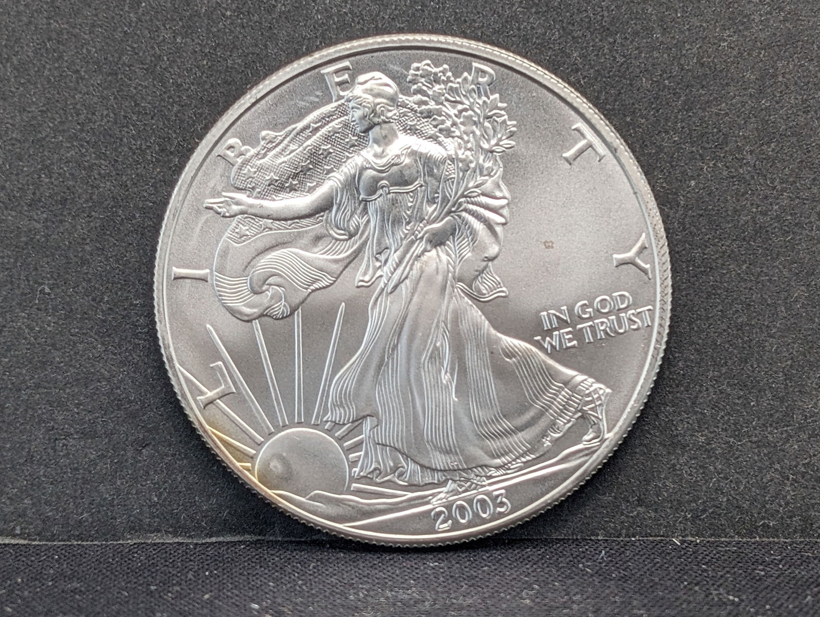 2003 American Silver Eagle 1 Ounce .999 Fine Silver Bullion (1 of 2)