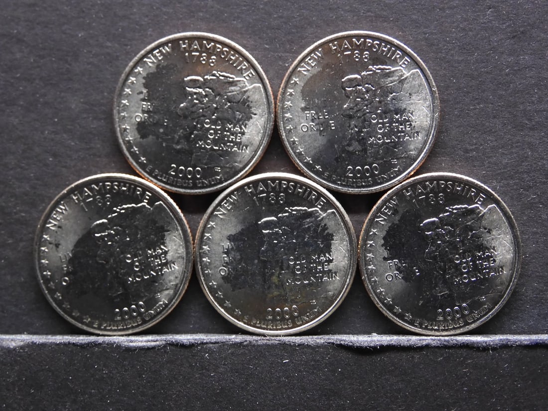 (5) 2000-P New Hampshire State Quarter ERRORS- MS (1 of 2)