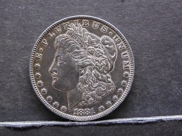 1881-O Morgan Silver Dollar- MS- Toned