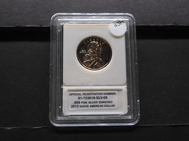 2013 .999 Fine Silver Enriched Native American Dollar