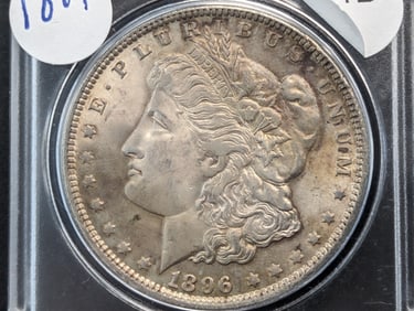 1896 Morgan Silver Dollar